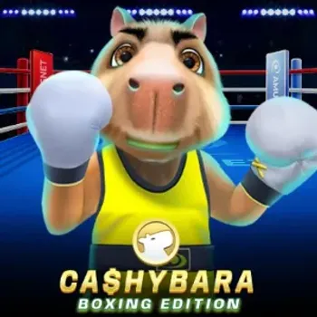 Cashybara Boxing Edition